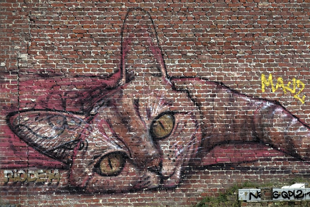 graffiti doel belgie roa hdr urbex art kunst kunstwerk mural murals